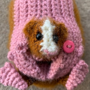 Guinea Pig with Baby Crochet Pattern image 6