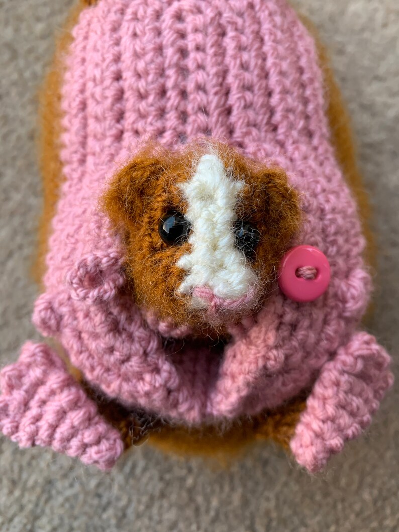 Guinea Pig with Baby Crochet Pattern image 6