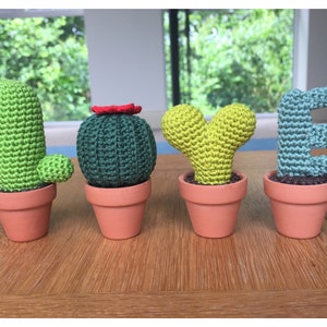 LOVE Cacti Set Crochet Pattern image 1