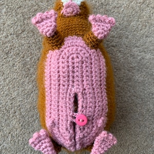 Guinea Pig with Baby Crochet Pattern zdjęcie 5