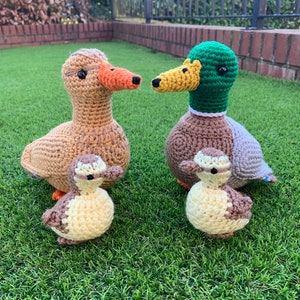 Mallard Duck Family Crochet Pattern