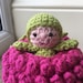 Raspberry Pocket Pal Crochet Pattern - Etsy