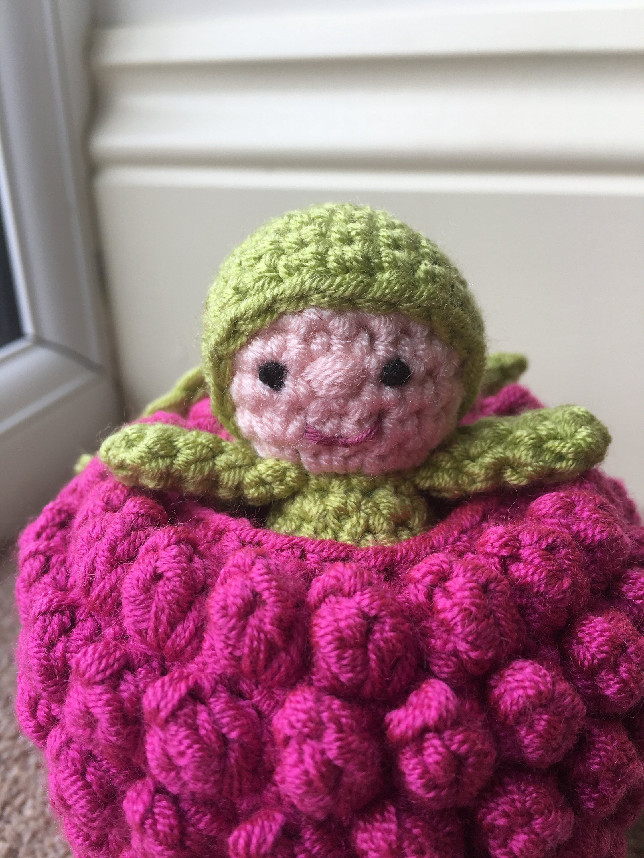 Raspberry Pocket Pal Crochet Pattern | Etsy