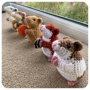 May include: Five crocheted hamster toys in a row, each holding a different treat. The hamsters are brown, white, orange, and gray. The treats are a chocolate bar, a cookie, a donut, and a piece of fruit.