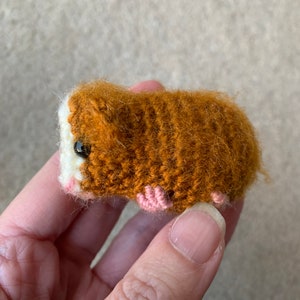 Guinea Pig with Baby Crochet Pattern zdjęcie 8
