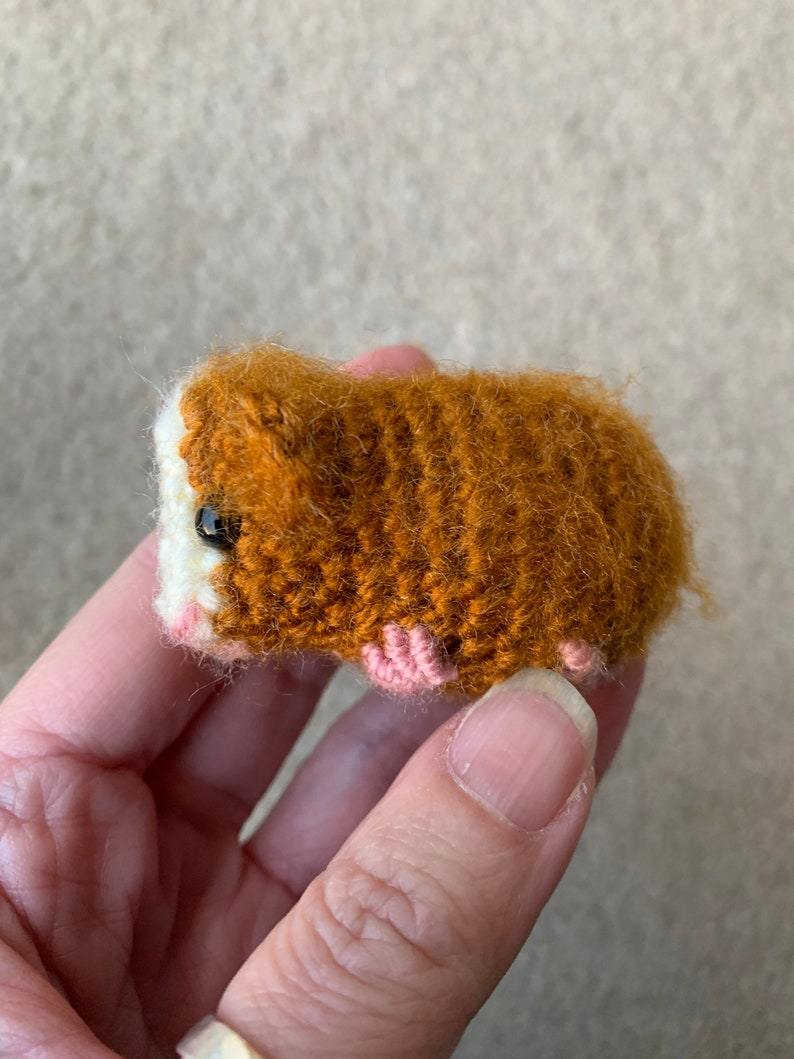 Guinea Pig with Baby Crochet Pattern zdjęcie 8