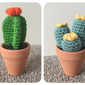 Mini Cacti Pair 3 Crochet Pattern