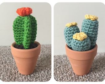 Mini Cacti Pair 3 Crochet Pattern