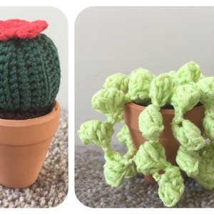 Mini Cacti Pair 1 Crochet Pattern