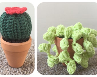 Mini Cacti Pair 1 Crochet Pattern