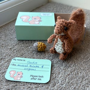 Może przedstawiać: Ręcznie robiona szydełkowa wiewiórka z puszystym ogonem, obok małego pudełka i karty. Pudełko i karta przedstawiają kreskówkową wiewiórkę. Na karcie napisano: "My name is: Sadie, I like musical theatre & Origami. Please look after me."