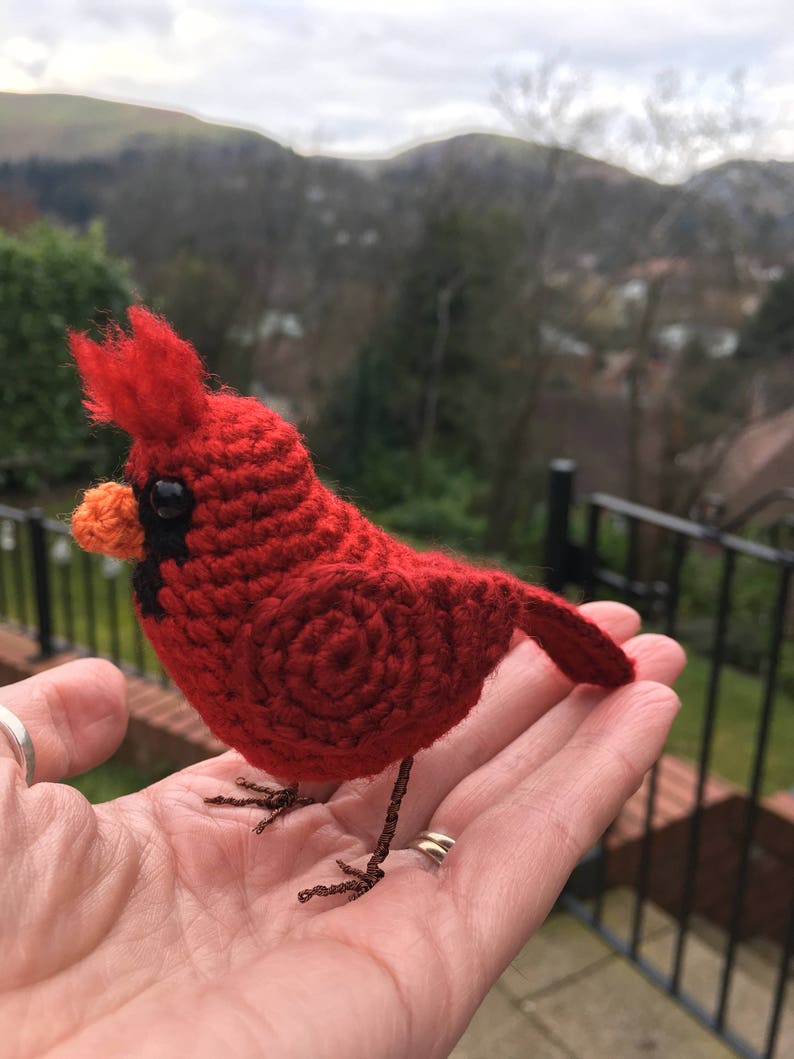 Lifelike Cardinal Bird Crochet Pattern | Etsy