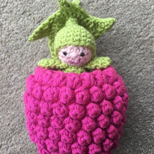 Patron au crochet Pocket Pal aux framboises