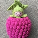 Raspberry Pocket Pal Crochet Pattern - Etsy
