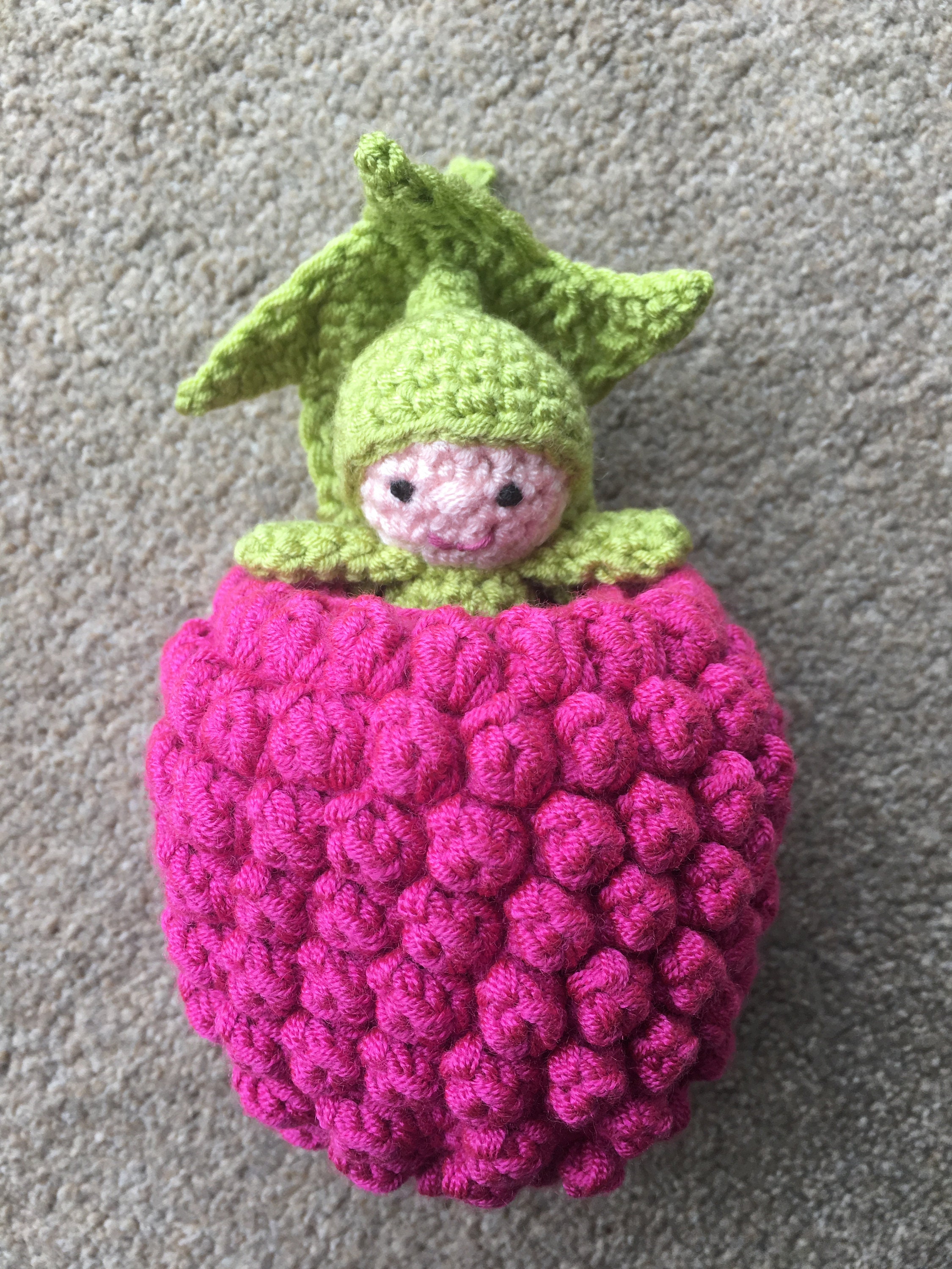 Raspberry Pocket Pal Crochet Pattern - Etsy