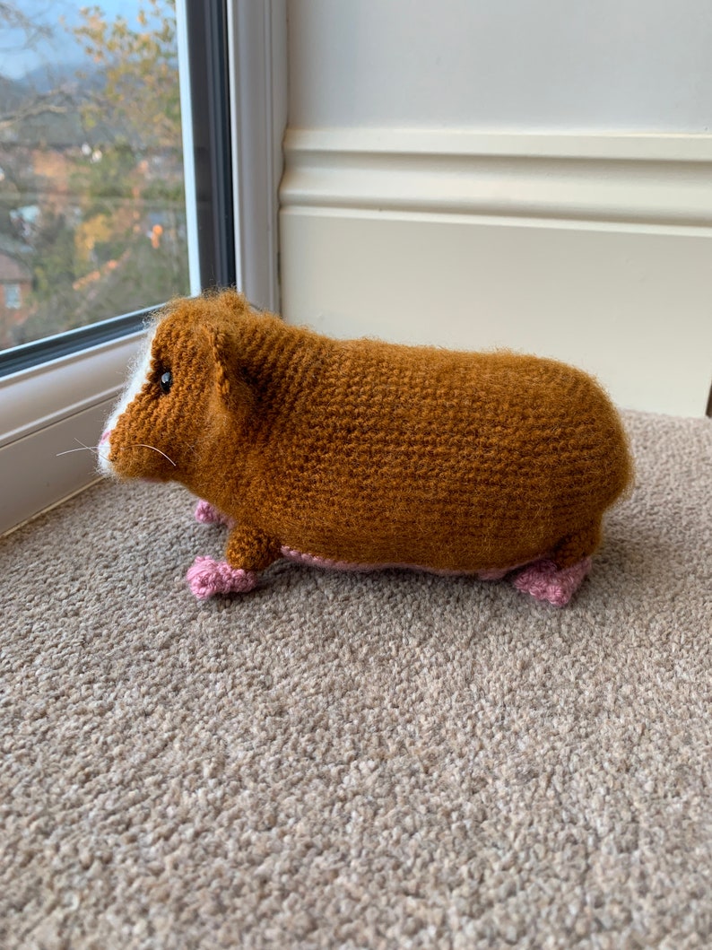 Guinea Pig with Baby Crochet Pattern zdjęcie 3