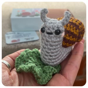 Patrón de crochet de caracol mascota con caja de cerillas de costura baja y plantilla de caja imprimible