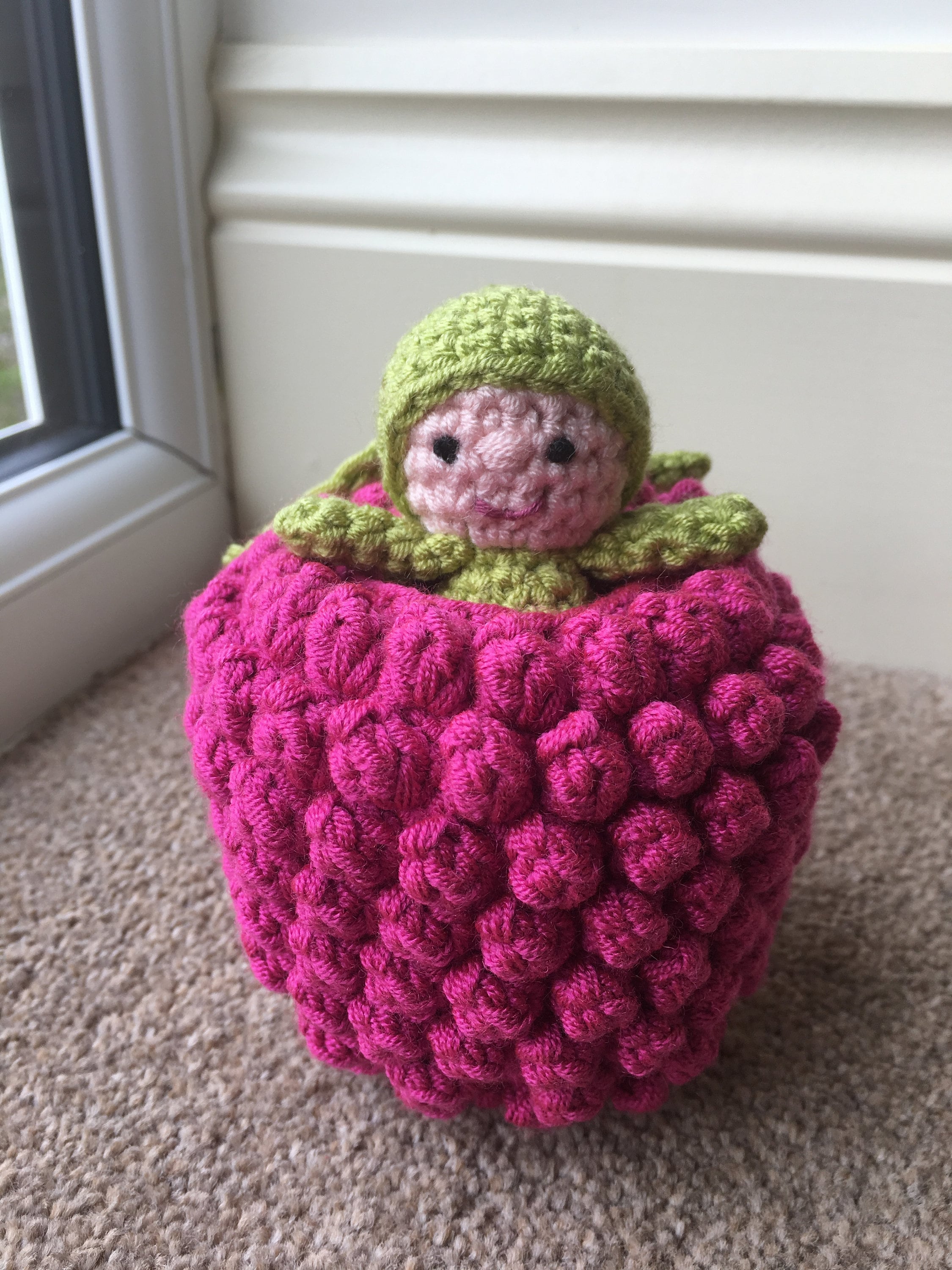 Raspberry Pocket Pal Crochet Pattern | Etsy