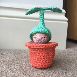 3 PATTERN BUNDLE - Camping, Seedling & Raspberry Pocket Pal Crochet ...