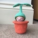 3 PATTERN BUNDLE - Camping, Seedling & Raspberry Pocket Pal Crochet ...