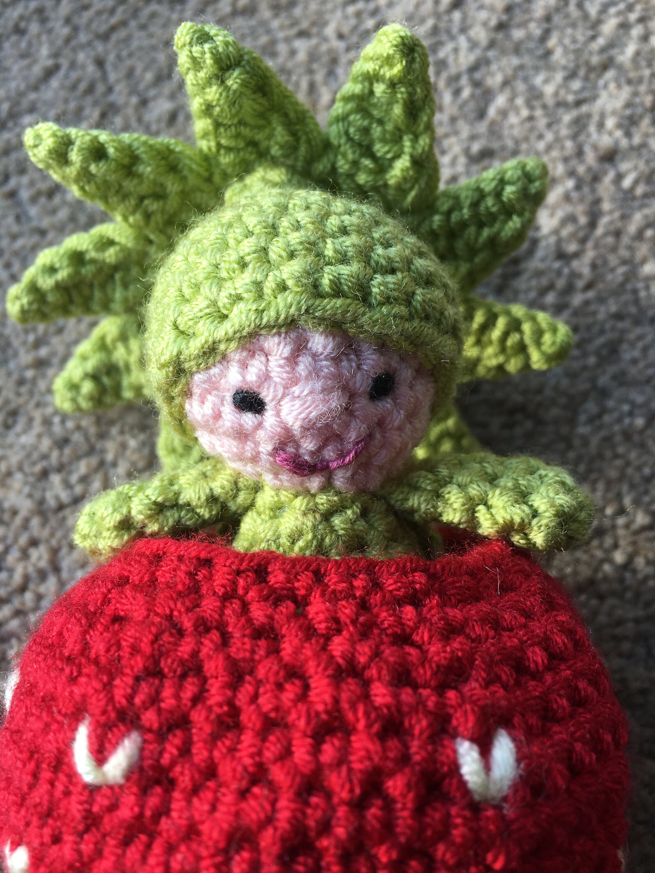 Strawberry Pocket Pal Crochet Pattern - Etsy