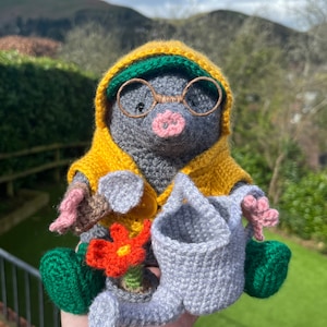 May include: A crocheted mole wearing a yellow raincoat, green glasses, and a green hat. The mole is holding a gray watering can and a red flower.