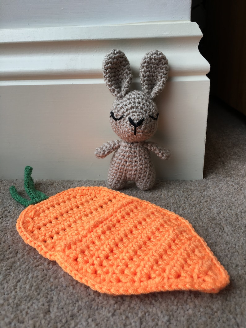 Rabbit in a Carrot Sleeping Bag Crochet Pattern Etsy