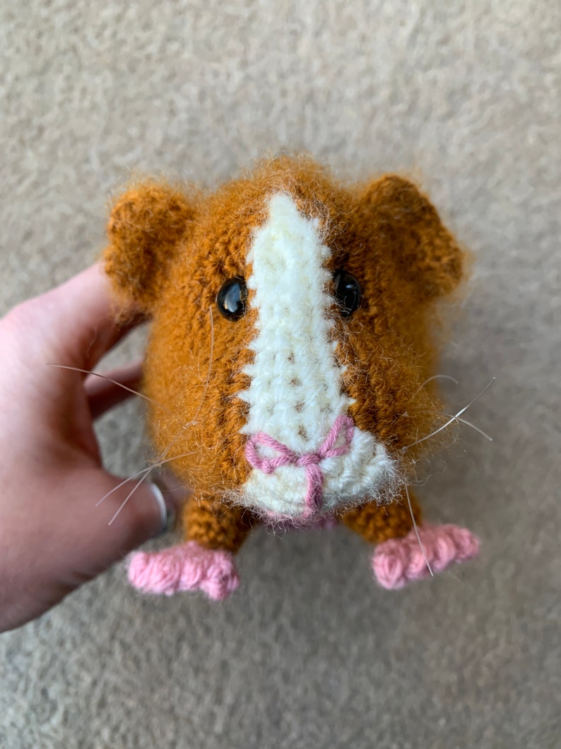 Guinea Pig with Baby Crochet Pattern zdjęcie 4