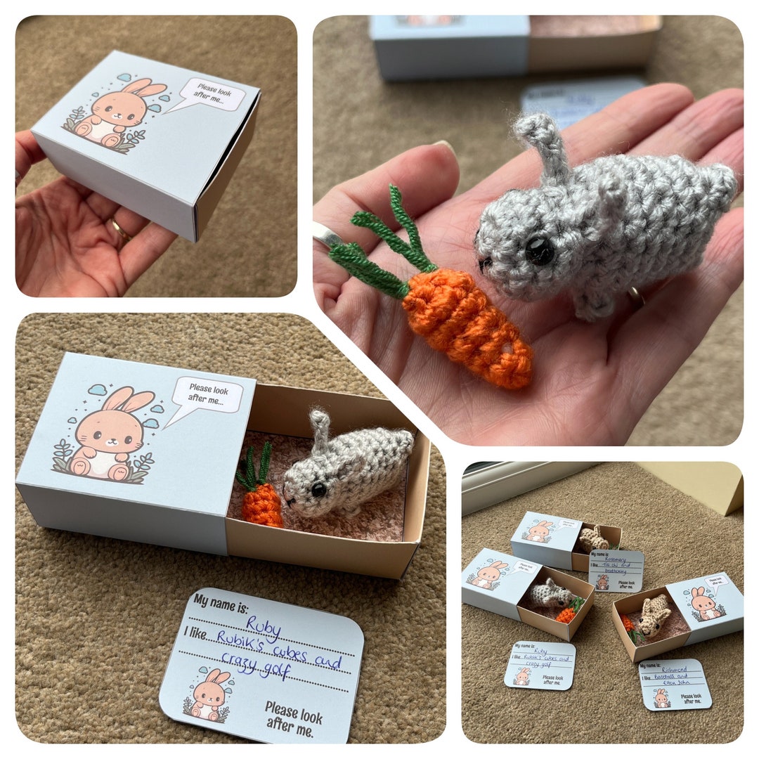 No-sew Matchbox Pet Rabbit Crochet Pattern, With Printable Box & Name ...