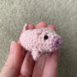 Pig with Piglets Crochet Pattern image 9