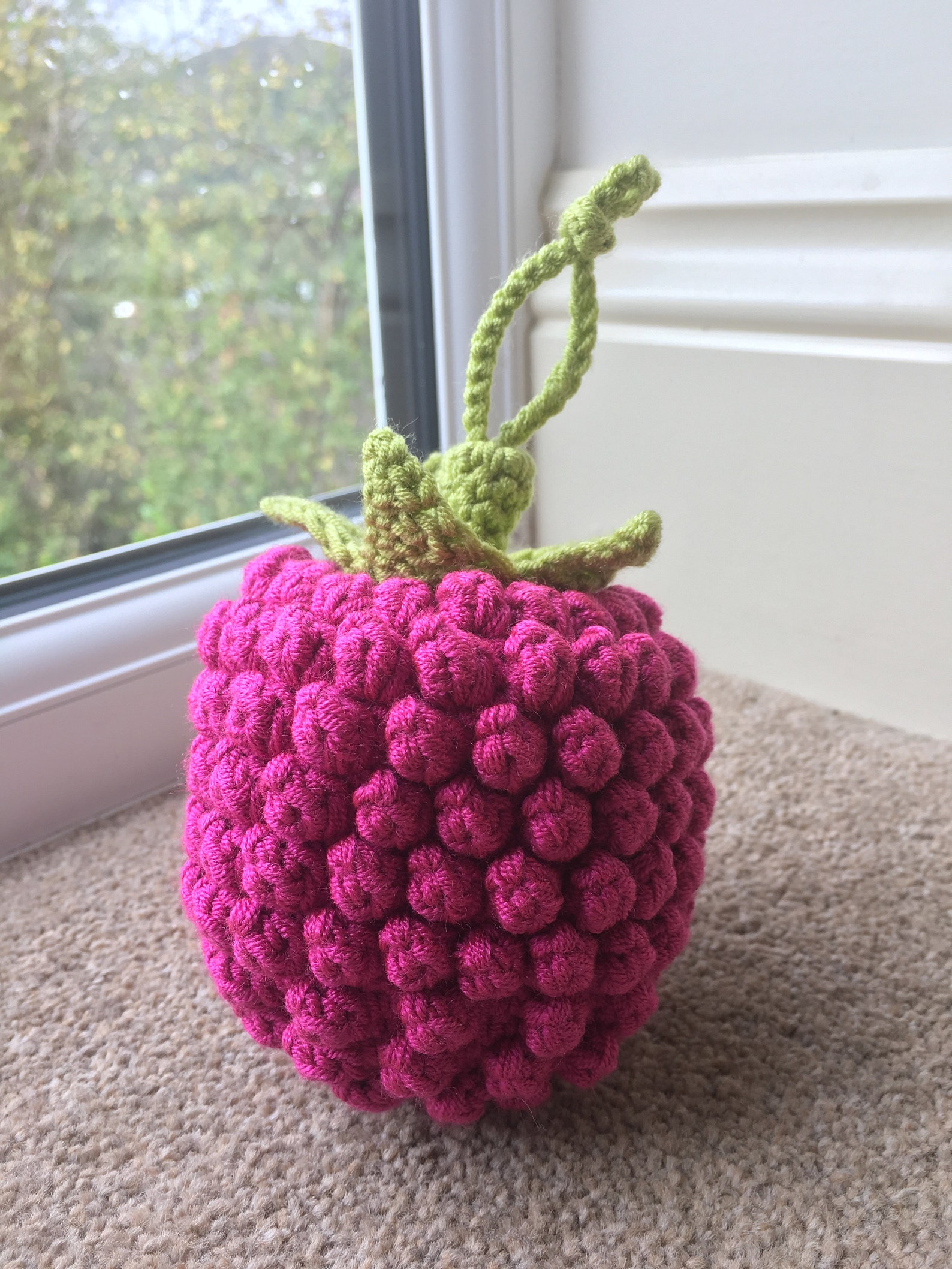 Raspberry Pocket Pal Crochet Pattern | Etsy UK
