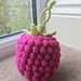 Raspberry Pocket Pal Crochet Pattern - Etsy