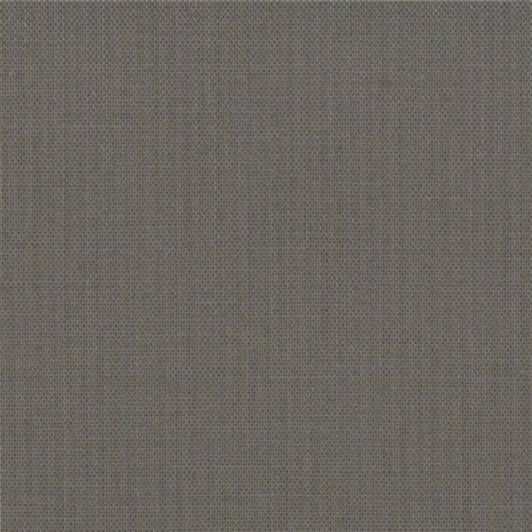 Moda Bella Solids Etchings Slate 9900-170...Sold in continuous cut 1/2 yard increments