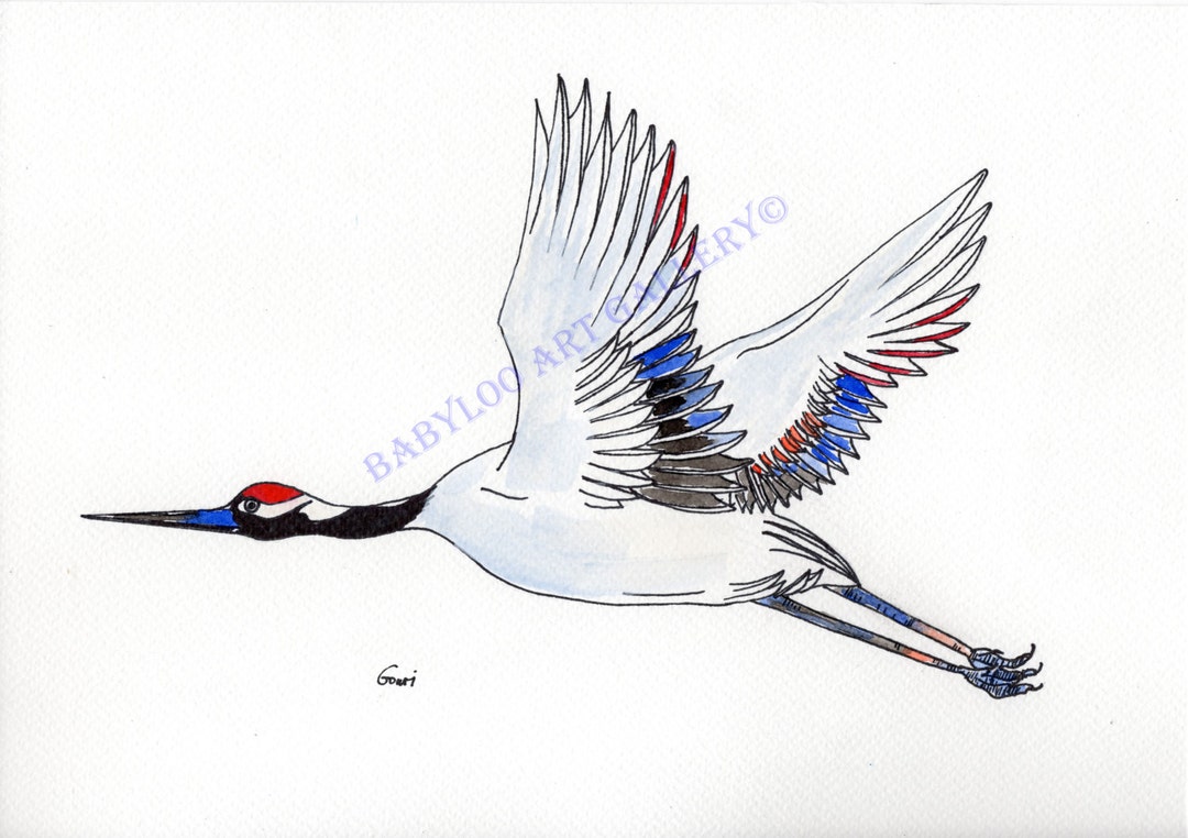 Japanese Crane - Ink Drawing - Etsy
