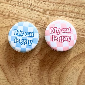 My cat is gay meme funny pin back button