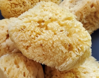 All Natural Dead Sea Sponge