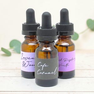 Recharge de parfum pour diffuseur de voiture | Désodorisants pour voiture | Parfum de voiture longue durée | Recharge de désodorisant pour voiture suspendue