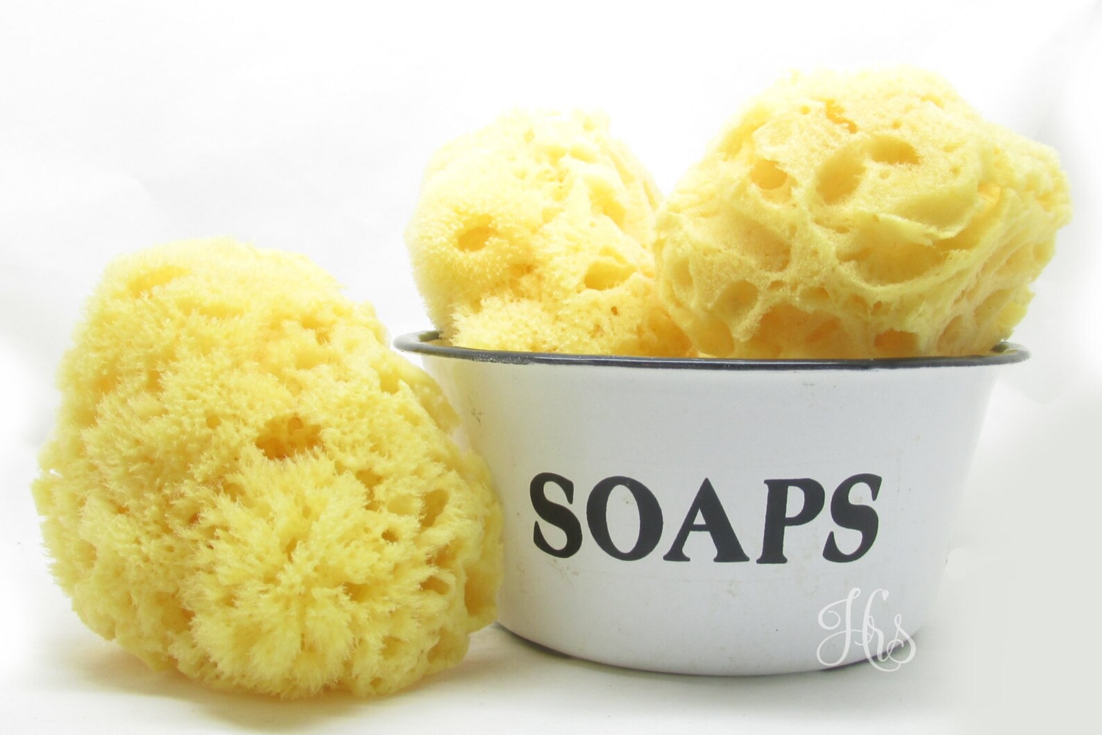 Large All Natural Dead Sea Sponge Etsy