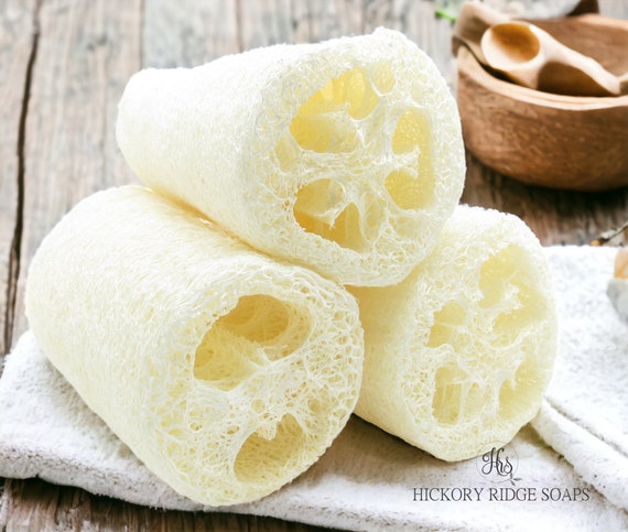 Natural Loofah Guide: You Need an All-Natural Shower Scrubber