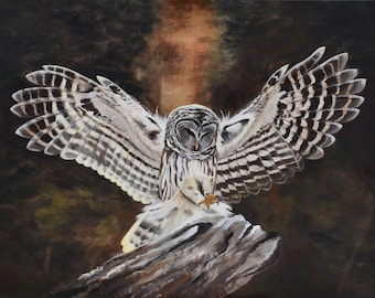 Graceful Barred Owl in flight - Giclee Print