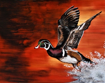 Wood Duck Lift-off Giclee Print