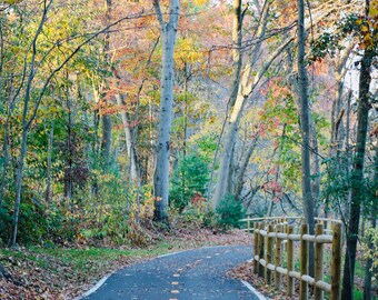 Puede incluir: Un camino pavimentado serpentea a través de un bosque en otoño. Árboles con follaje colorido bordean el camino, con una valla de madera a la derecha. El camino está salpicado de hojas caídas, creando un entorno exterior pintoresco.