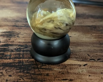 Quail Chick Wet Specimen in Display Globe