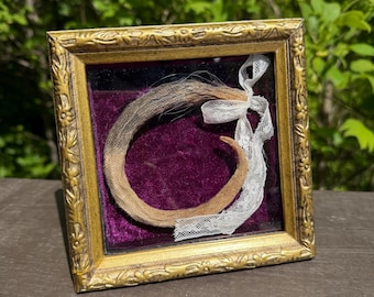 Mummified REAL Opposum Tail Shadowbox Victorian Gothic Style Unique Art