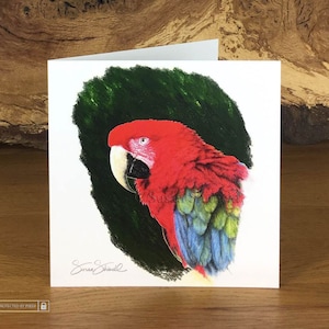 Ruby ~ Macaw ~ Cartão de felicitações da premiada artista britânica Susan Shimeld