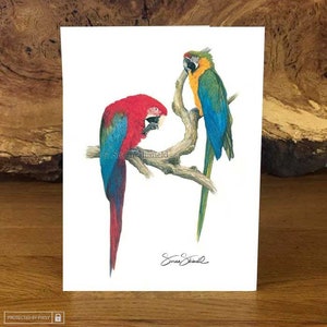 Macaw Magic ~ Cartão de felicitações da premiada artista britânica Susan Shimeld