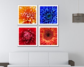 4 Piezas Flower Collage Wall Art Photography Metal Prints with white Border con arte de pared contemporáneo