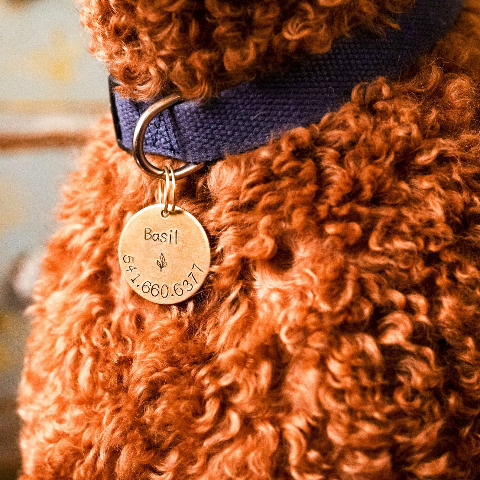 Personalized Name Tag for Large Dog Etsy