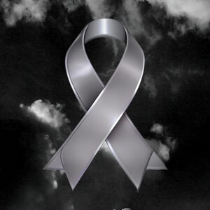 May include: A metallic silver awareness ribbon against a dark, cloudy background. The ribbon is rendered with a glossy finish, creating highlights and shadows. The ribbon's shape is a classic loop, symbolizing support and solidarity.