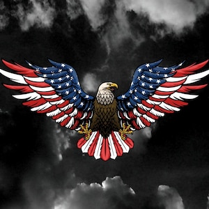 May include: A graphic illustration of a bald eagle with wings spread wide. The eagle's feathers are patterned with the red, white, and blue colors of the American flag, featuring white stars on a blue field and red and white stripes on the wings.